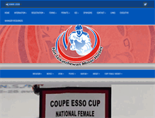 Tablet Screenshot of fortsaskminorhockey.com